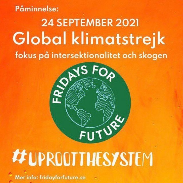 FAQ - Fridays For Future Sweden